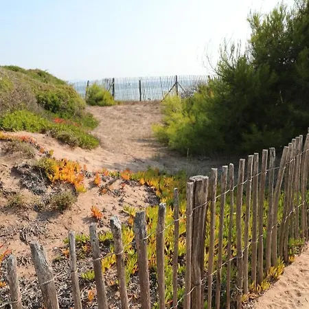 Camping Salines - Eurosurf