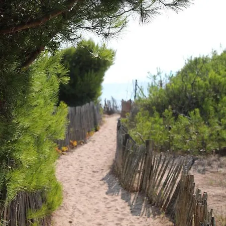 Camping Salines - Eurosurf