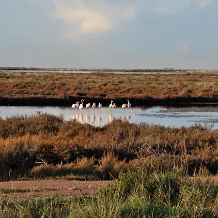 Κάμπινγκ Salines